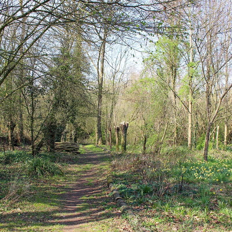 Aanleg en beheer van landschapstuinen